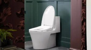 Kohler Bidet