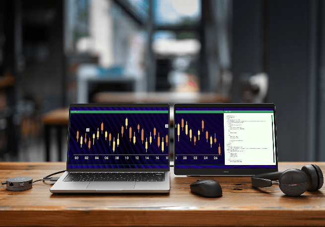 Dell draagbare monitor